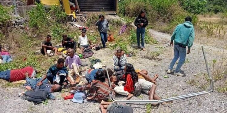 Asidente Iha Betua, Ema 59 Grave