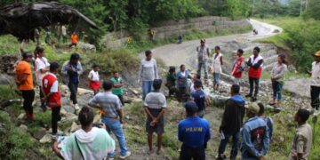 MAPPF -AMA Kuda Du’ut Bitiber hodi konserva Rai ne’ebé Mak monu iha Suku Manutaci