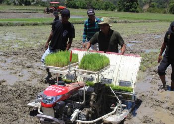 MAPPF Halo Lansamentu Kuda Hare ho Makina Iha Ainaro