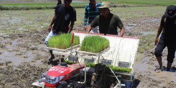 MAPPF Halo Lansamentu Kuda Hare ho Makina Iha Ainaro