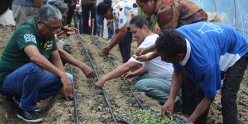 MAPPF Lansa Kuda Modo Iha Tonel ho Sistema Ingresilesiona