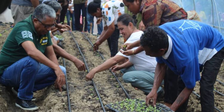 MAPPF Lansa Kuda Modo Iha Tonel ho Sistema Ingresilesiona