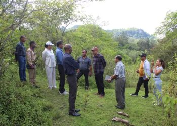 MCI ho AMA Observa Direta Rai Poe-Kede ba Futuru hodi hari’i Merkadu Munisipal