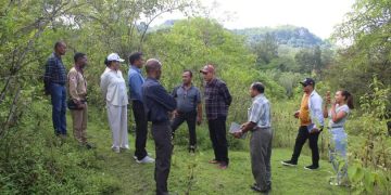 MCI ho AMA Observa Direta Rai Poe-Kede ba Futuru hodi hari’i Merkadu Munisipal