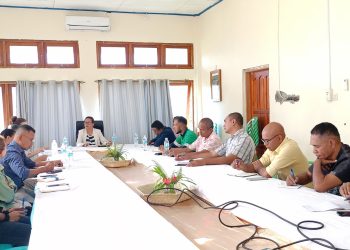 PARTISIPA Sorumotu Ho AMA Futuro Nafatin Fo Apoiu Iha Politika Governo Relasiona Ho Prestasaun Servisu Públiku