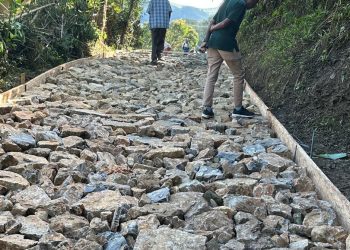 PNDS Hatur Fatuk Dauluk ba Estrada Suku Lima