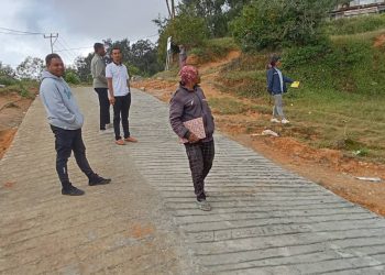 PNDS Halao Monitorizasaun  Iha Mauchiga Hodi fo garante kualidade Serbisu