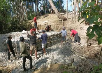 Projetu PNDS Hada Gabios 70 metru iha Foho- AIlicu, Atinje 38,80%