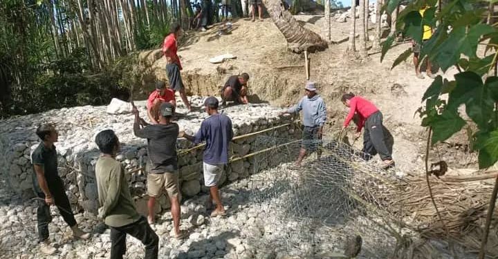 Projetu PNDS Hada Gabios 70 metru iha Foho- AIlicu, Atinje 38,80%