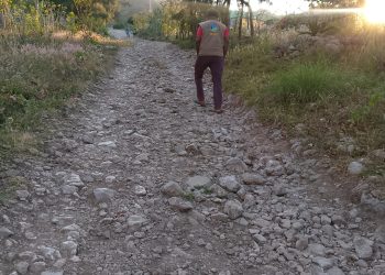 Estrada Suku Mauchiga