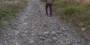 Estrada Suku Mauchiga