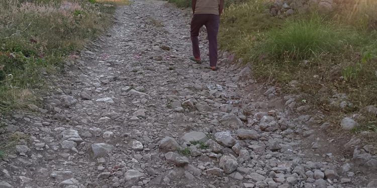 Estrada Suku Mauchiga