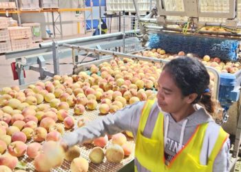 Istória Inspiradora Aquelina Orleans Da Silva: Feto Timor Ne’ebé Sai Supervisor Iha Austrália No Harii Uma Ba Nia Família