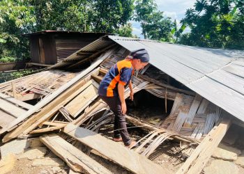 Uma Sanulu Resin Ida Hetan Estragus Husi Anin Bo’ot Iha Ainaro Durante Loron Hitu