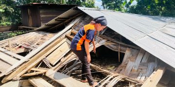Uma Sanulu Resin Ida Hetan Estragus Husi Anin Bo’ot Iha Ainaro Durante Loron Hitu