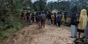 Kareta Karga Naha ho Produtu lokál Asidente Iha Hatu-builico Tamba Estrada A’at