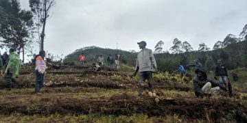 Xefe Aldeia Queo-Rudo –Komunidade Kuda Ai-Aprono no Masan Millaun 1