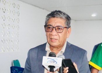 ESTATAL Haforsa Estrutura Municipal Liu Husi Formasaun No Planeamento Jestaun Instrumentu Dezenvolvimentu Municipal Iha Ainaro