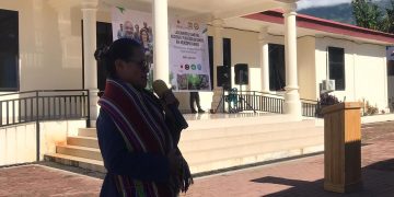 PAM Promove Kuda Au (Bambu) Hodi Prevene Erozaun No Impulsiona Ekonomia Komunidade