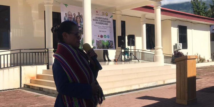 PAM Promove Kuda Au (Bambu) Hodi Prevene Erozaun No Impulsiona Ekonomia Komunidade